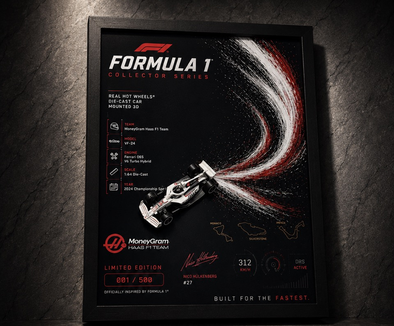 Formula 1 Collector Series | Real Hot Wheels® MoneyGram Haas F1 Edition by Carbon Atelier